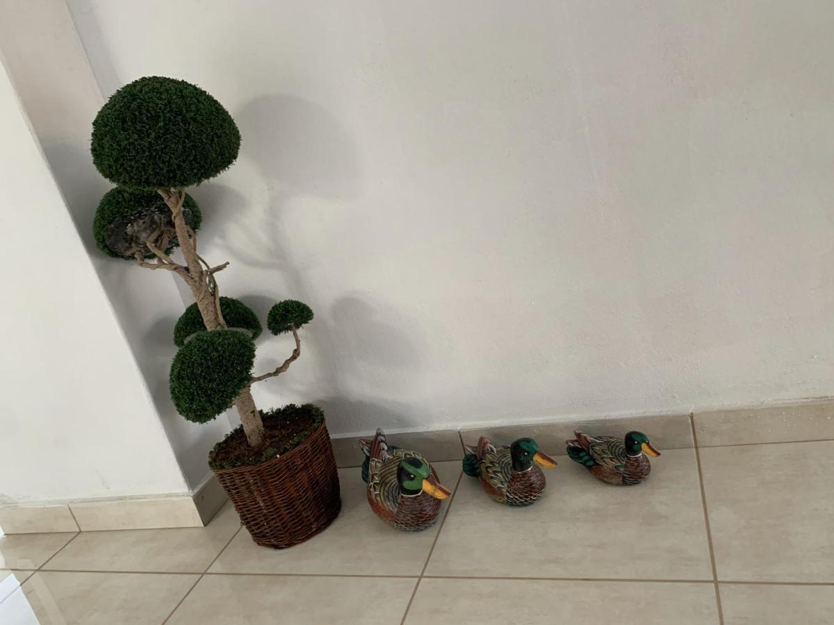 Apartament Maria's Modern 5min From