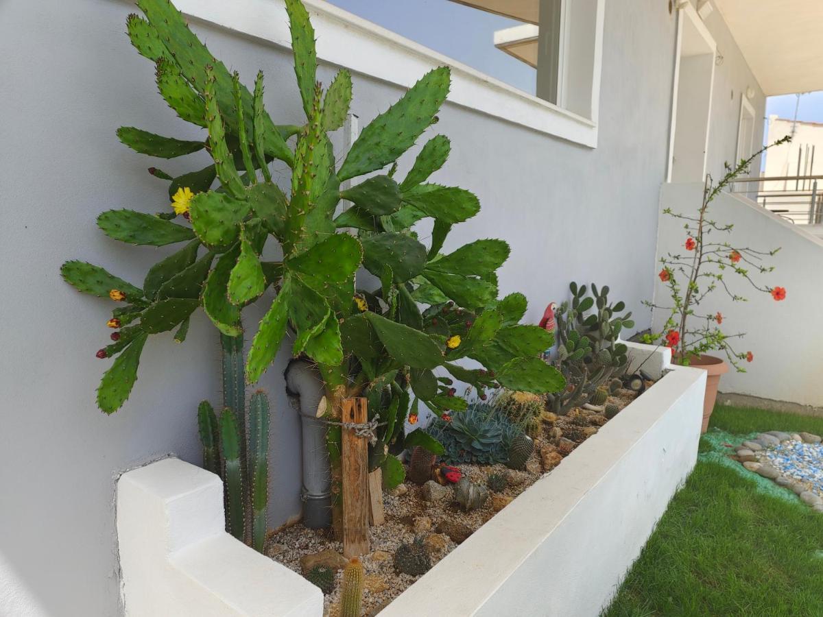 Maria's Modern 5min From * Souda