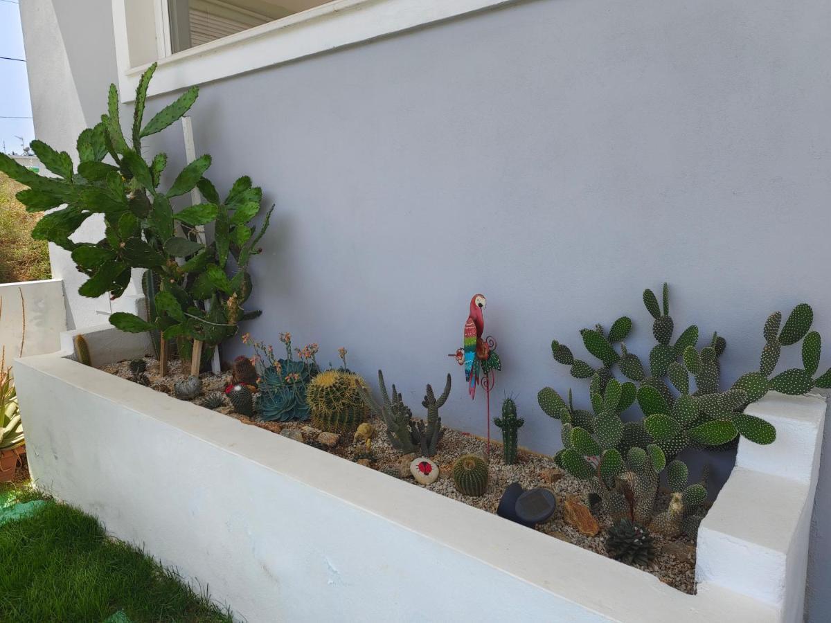 Maria's Modern 5min From Apartment Souda